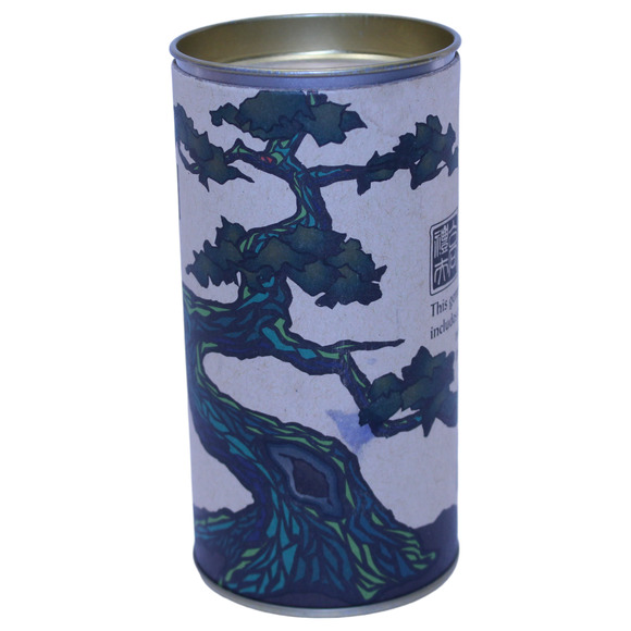 The Jonsteen Company Japanese Maple Acer Palmatum Bonsai Tree Growing Kit - Picture 2 of 9